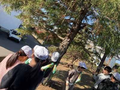 3年1組_理科_味戸綾音_森林環境学習_1-2