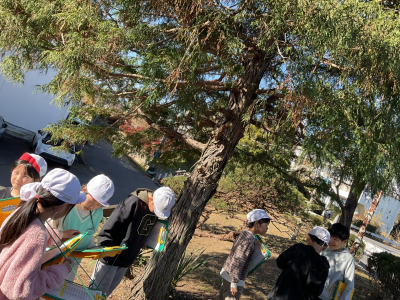 3年1組_理科_味戸綾音_森林環境学習_2-2