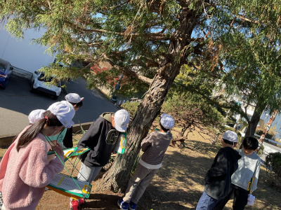 3年1組_理科_味戸綾音_森林環境学習_4-2