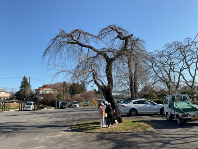 3年1組_理科_味戸綾音_森林環境学習_5-2