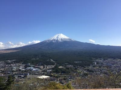 展望台にて臨む富士山